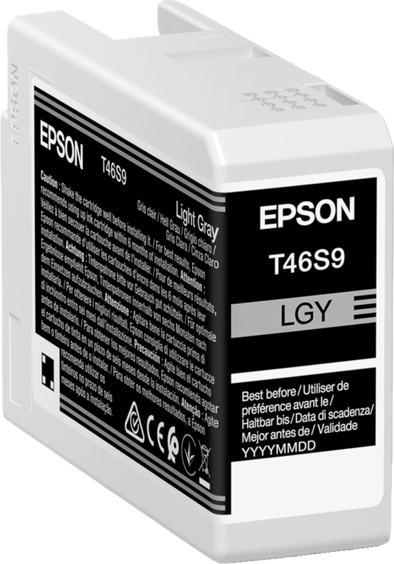epson-t46s9-grau-hell-druckerpatrone-1