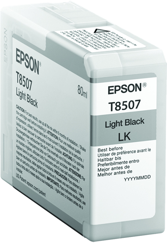 Druckerpatronen Epson T850 (Silo Standard)