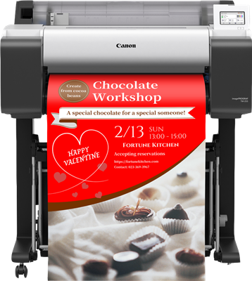 Canon imagePROGRAF TM-255 Druckerpatronen