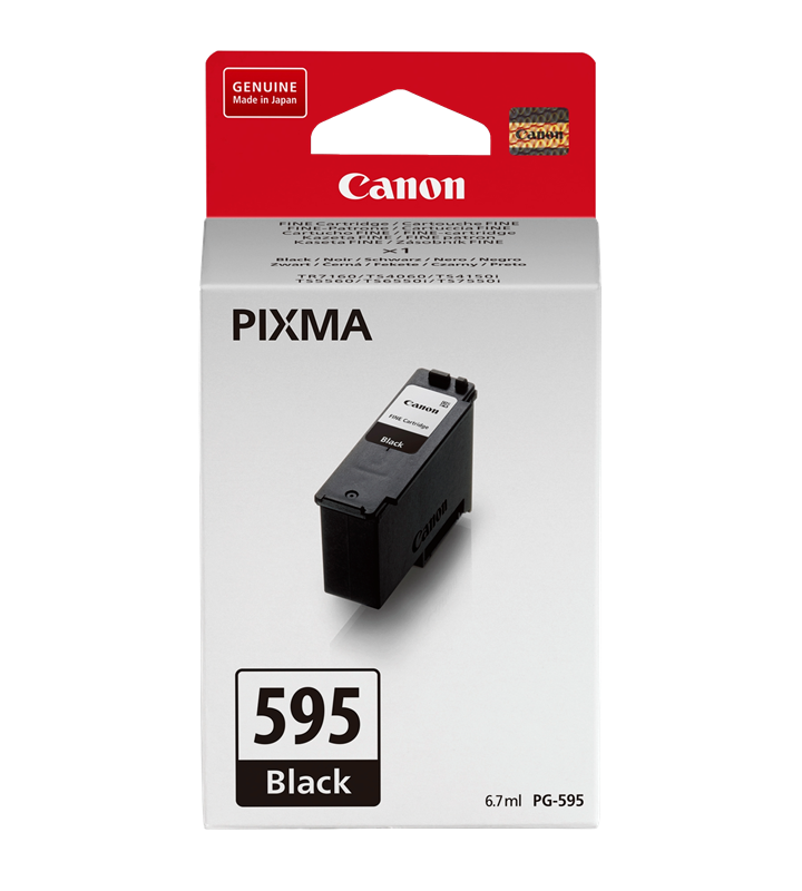 Druckerpatronen Canon PG-595 (Silo Standard)