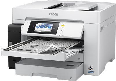 Epson ECOTANK Pro ET-M16680 Tintenflaschen 