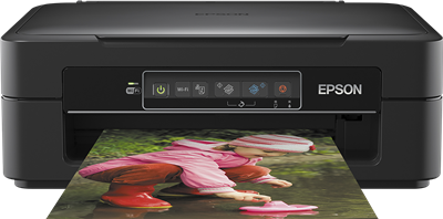 Epson Expression Home XP-245