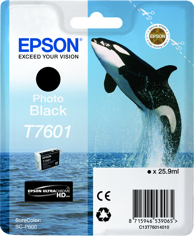 Druckerpatronen Epson T760 (Silo Standard)