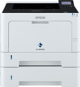 Epson WorkForce AL-M310DTN