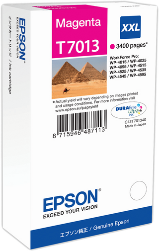 epson-t7013-xxl-magenta-druckerpatrone-1